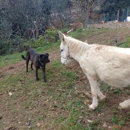 Eco-friendly Barcelona Country Side Дом отдыха
