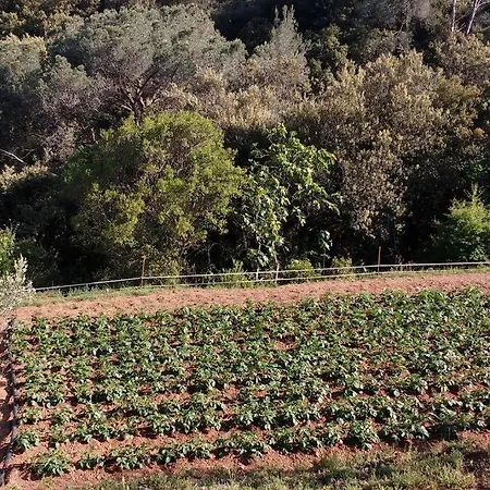 Eco-friendly Barcelona Country Side *