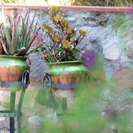 Eco-friendly Barcelona Country Side Дом отдыха *