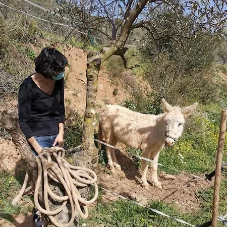 Eco-friendly Barcelona Country Side * Ла-Гаррига